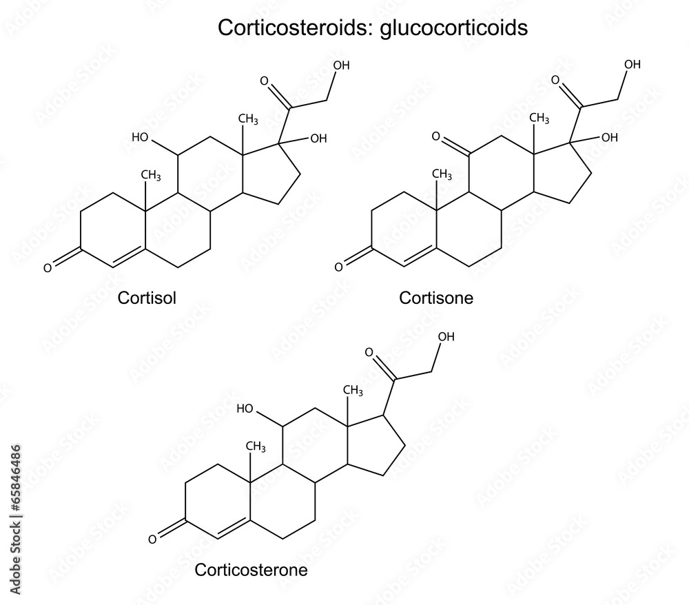 Structural formulas of corticosteroids - glucocorticoids Stock Vector ...