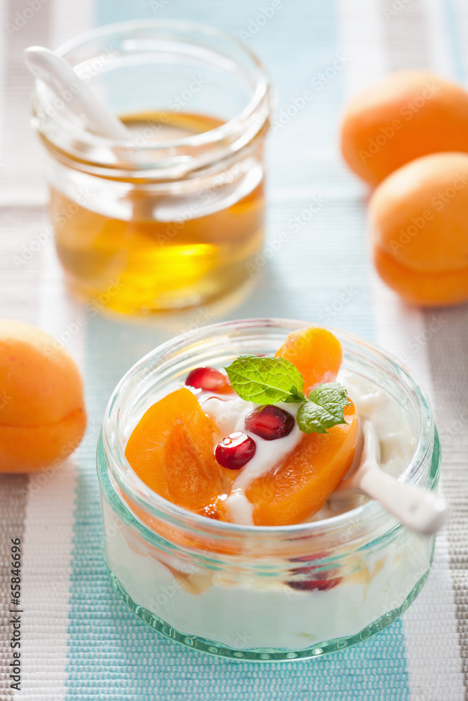 healthy breakfast with yogurt apricot pomegranate honey healthy breakfast with yogurt apricot pomegranate honey