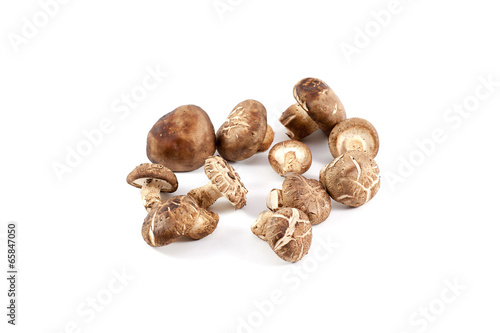 chinese mushroom