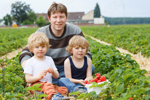 father and two little boys on organic strawberry farm