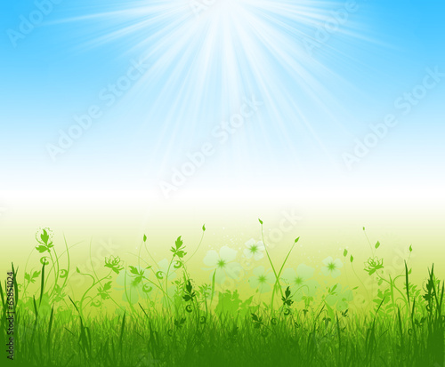 spring grass in sun light and defocused sky on background © iluzia