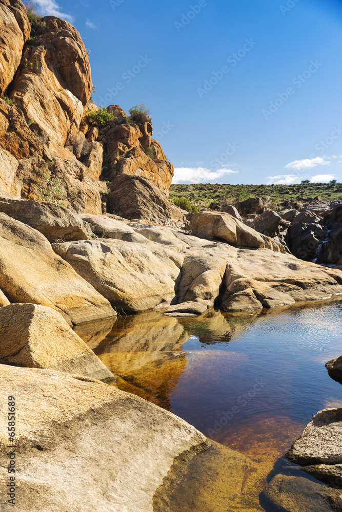 Water Hole Water Hole
