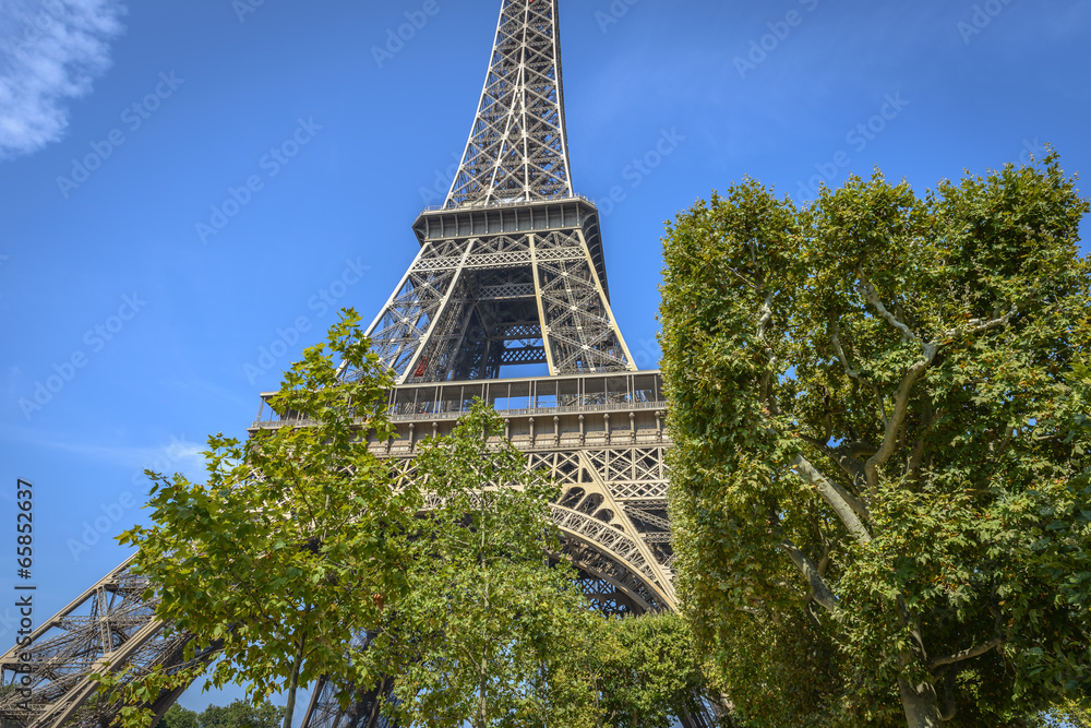 Eiffel Tower view through some trees in a summer clear day Eiffel Tower view through some trees in a summer clear day