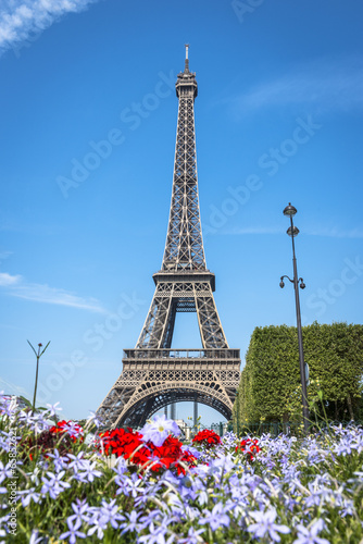 Eiffel Tower view from Champ de Mars