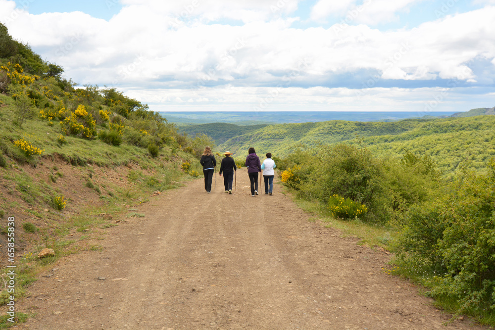 grupo de personas caminando por un camino de montaña