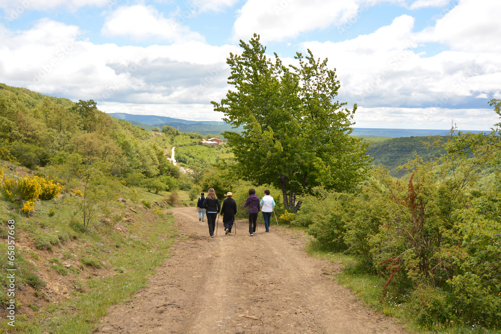 grupo de personas caminando por un camino en el monte