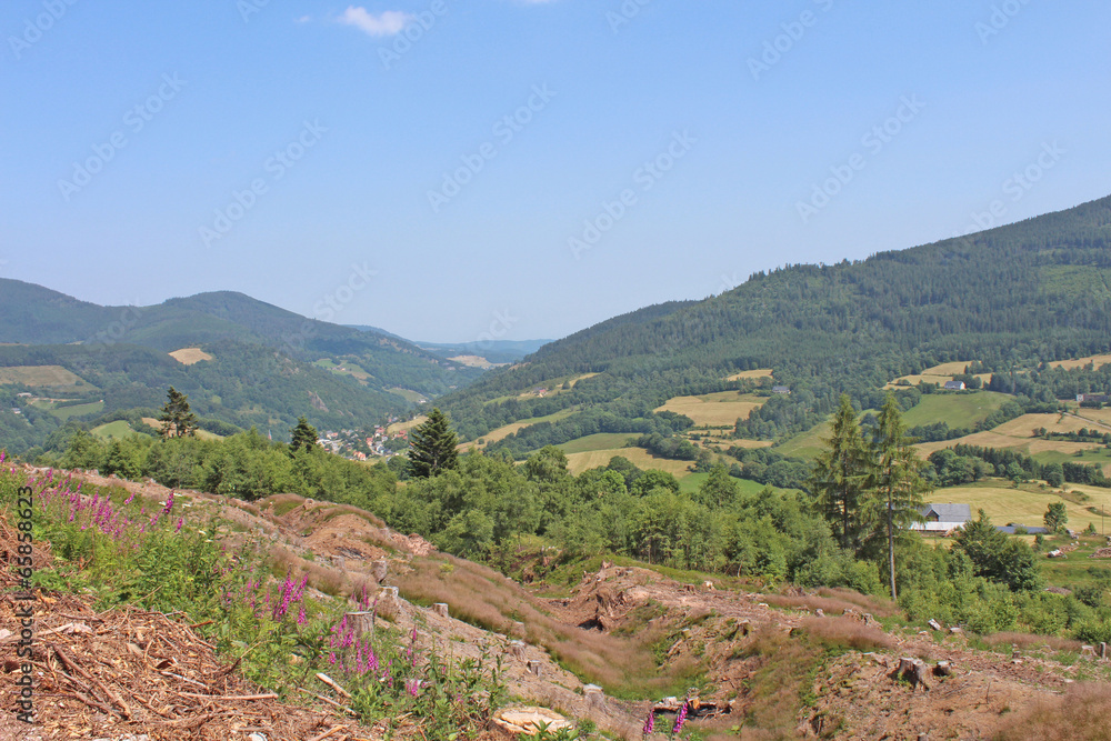 Naklejka premium Vosges