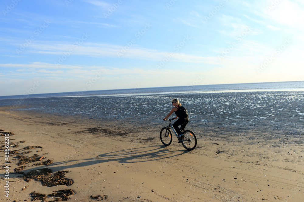 Fototapeta premium bike