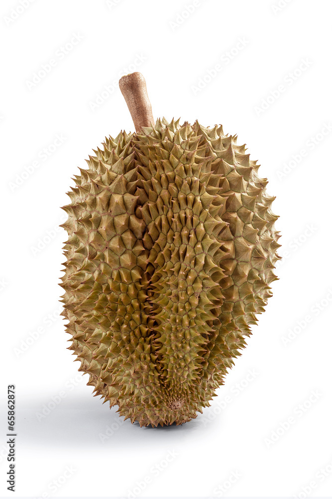 Durian isolated on white background Durian isolated on white background