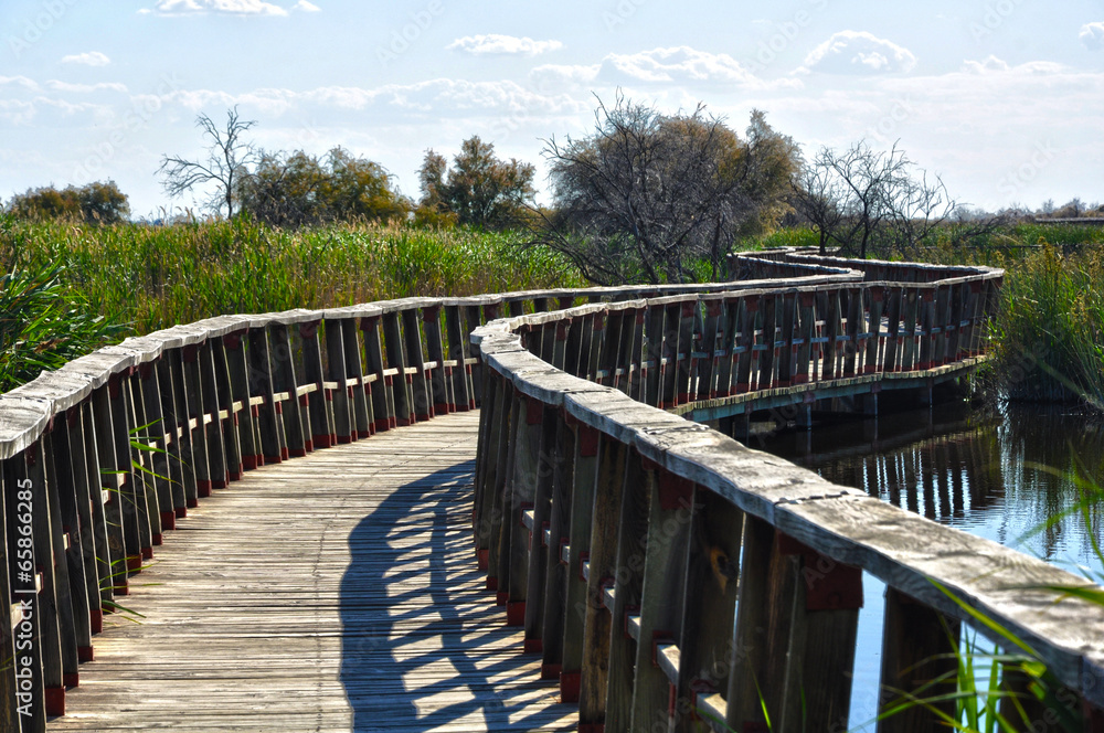 The Tablas de Daimiel National Park, Climate Change, Guadiana River, ecosystem, Ciudad Real, Spain The Tablas de Daimiel National Park, Climate Change, Guadiana River, ecosystem, Ciudad Real, Spain