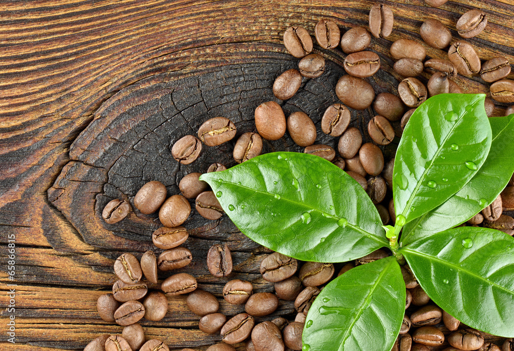 Obraz premium Ziarna kawy z liściem na desce