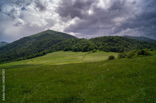 summer landscape after rain