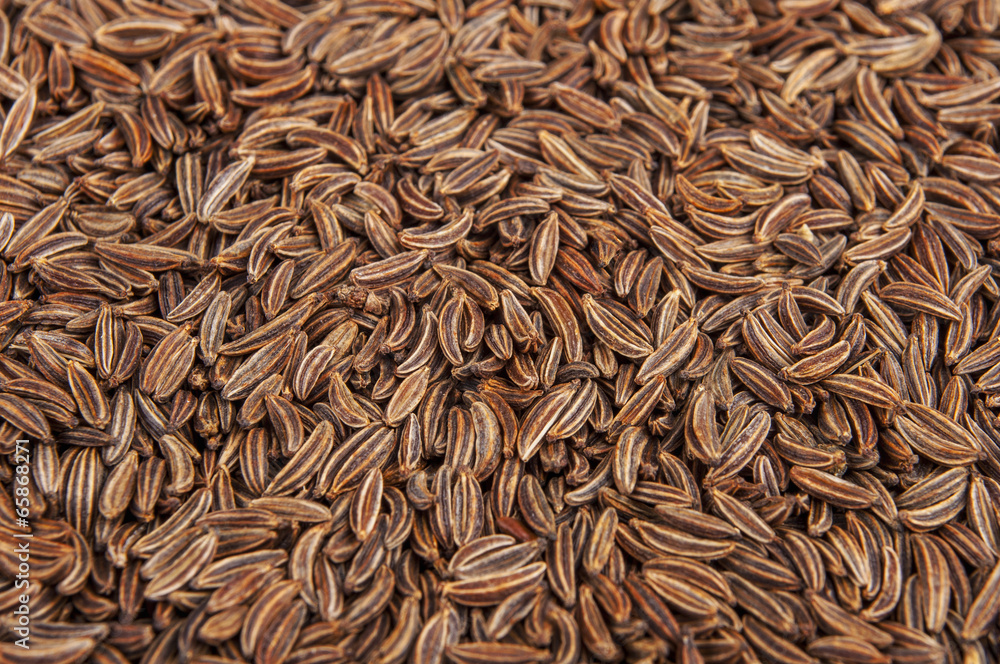 Dried cumin seeds Dried cumin seeds