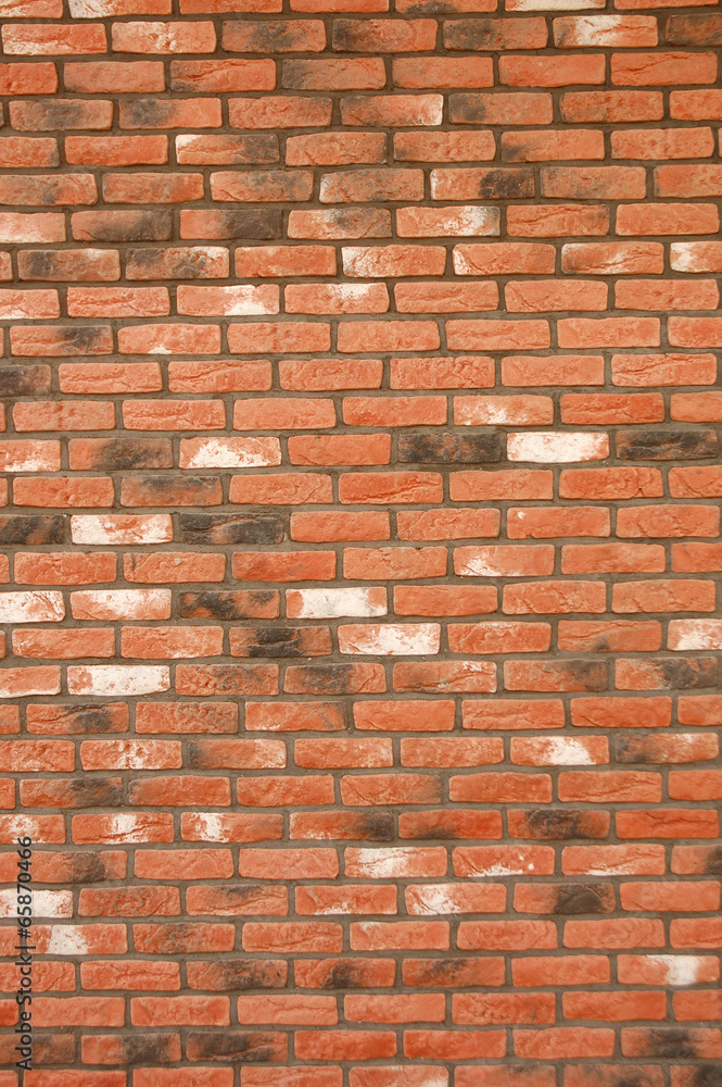 Obraz premium Brick wall background