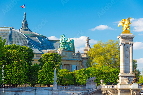 Canvas Print grand palais paris