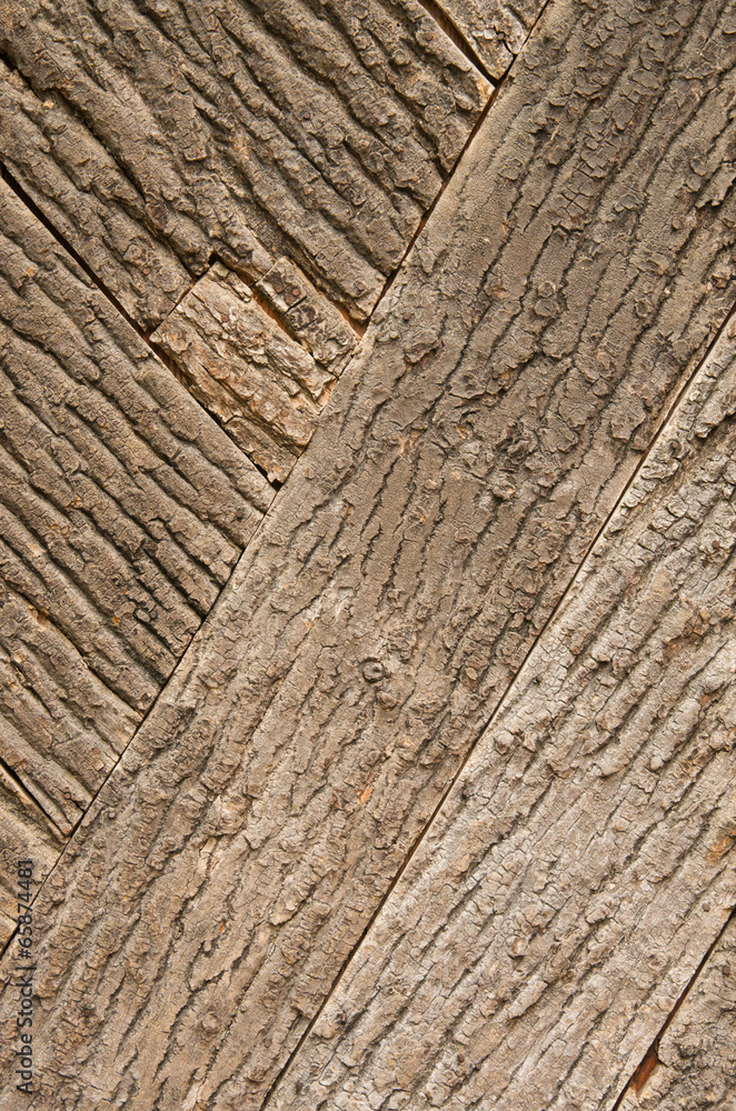 Obraz premium Tree bark texture