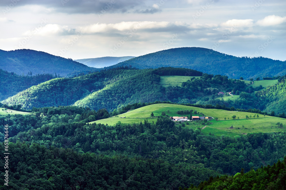 The green hills of Alsacea