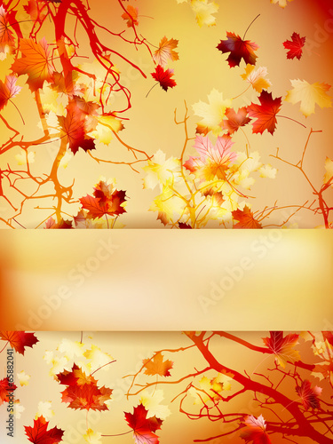 Autumn background with leaves. EPS 10