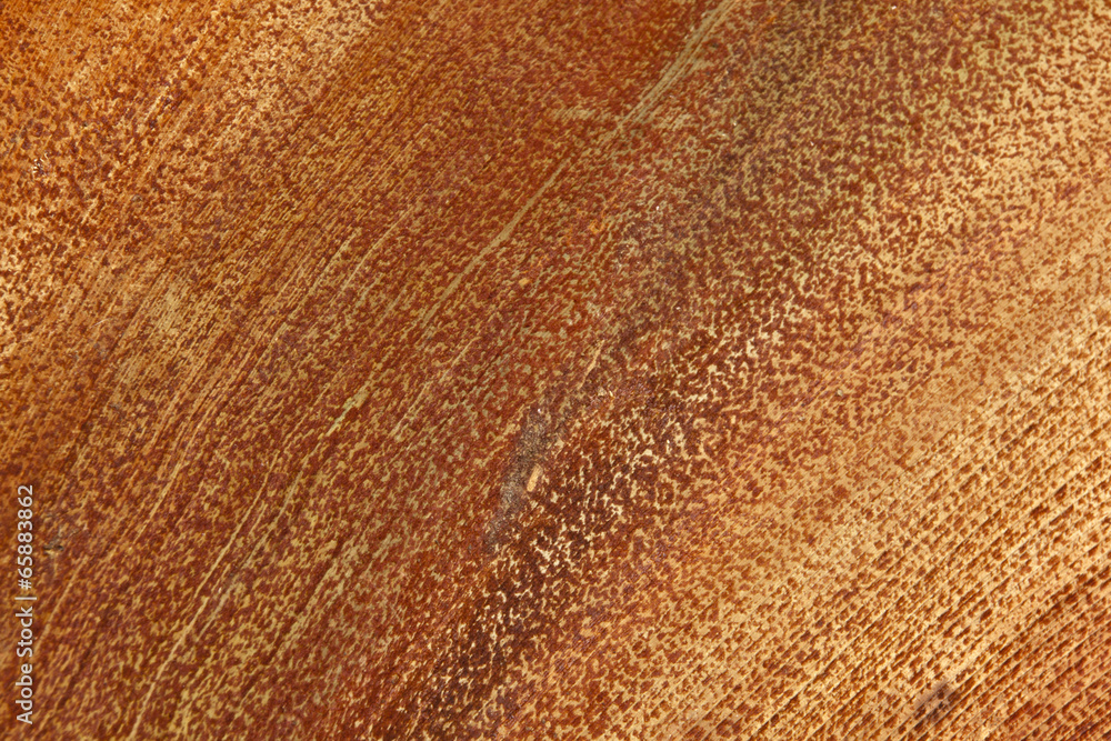 Closeup Pattern and Texture on Base of Brown Palm Leaf Closeup Pattern and Texture on Base of Brown Palm Leaf