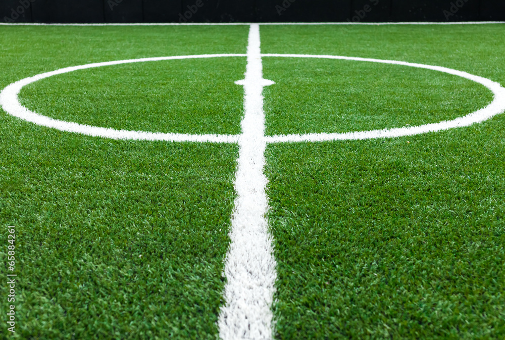 Obraz premium soccer field grass