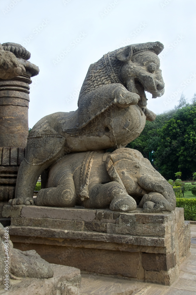 Lion Riding over Elephant