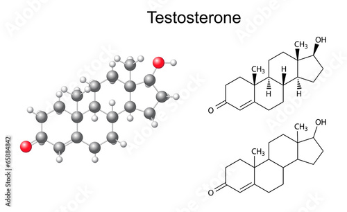 Structural chemical formulas and model of testosterone molecule
