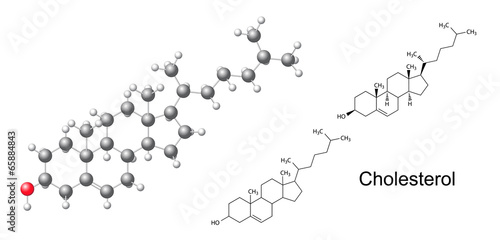 Structural formulas and model of cholesterol molecule