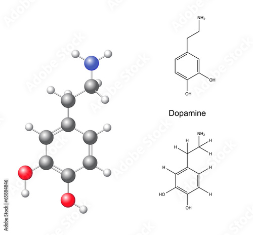 Structural chemical formulas and model of dopamine