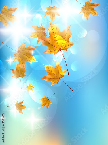 Autumn background template.