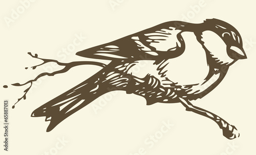 Vector drawing. Small titmouse on a branch
