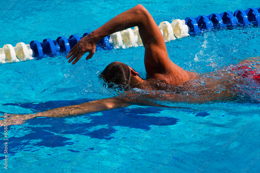 Swimming - Stock Image