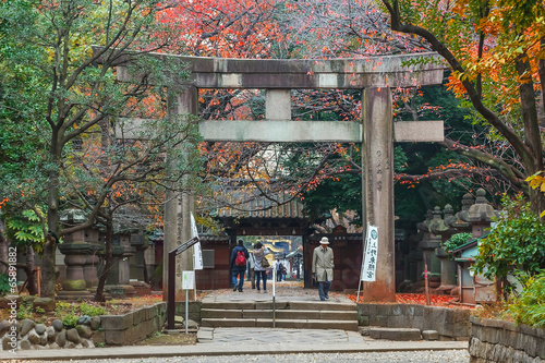 Tablou pe pânză Toshogu Shrine at Ueno Park in Tokyo