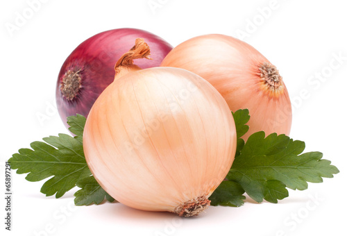 Onion vegetable bulb and parsley leaves still life