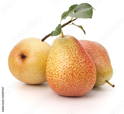 Фотография Pear fruits
