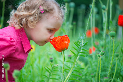 Little girl sniffing red poppies;