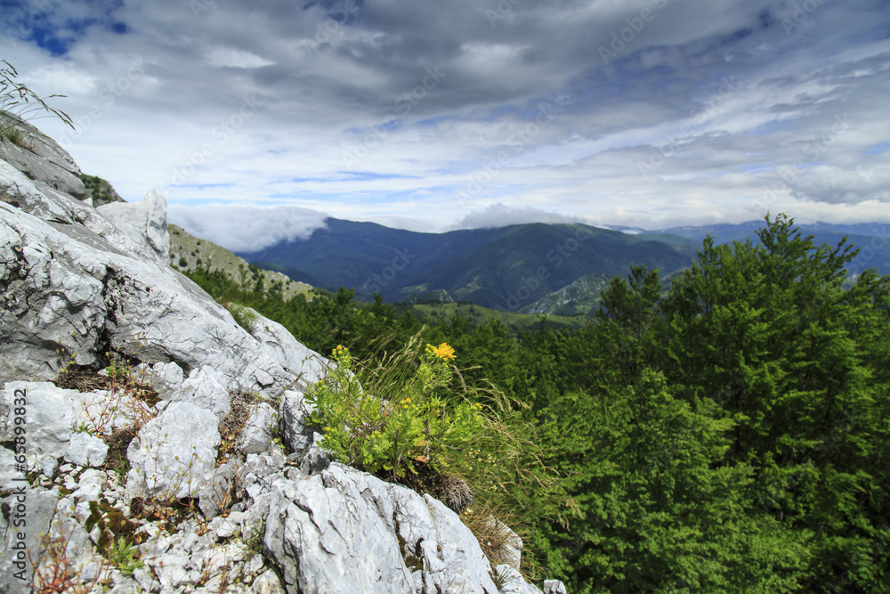 Beautiful mountain scenery in the Alps in summer and limestone Beautiful mountain scenery in the Alps in summer and limestone