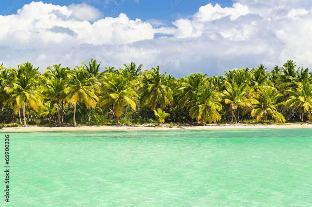 Obraz premium Paradise beach with palm trees on white sand