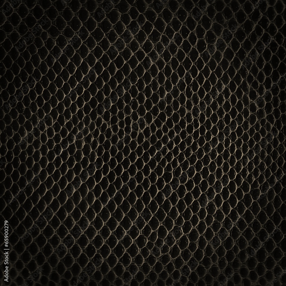Skin texture background. Big size.