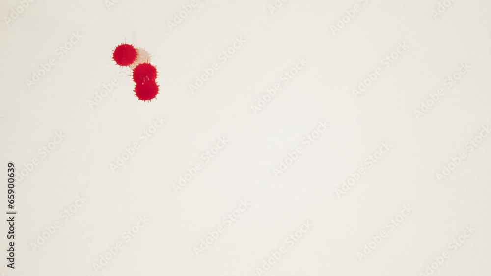 Blood Splatter 01 Blood Splatter 01
