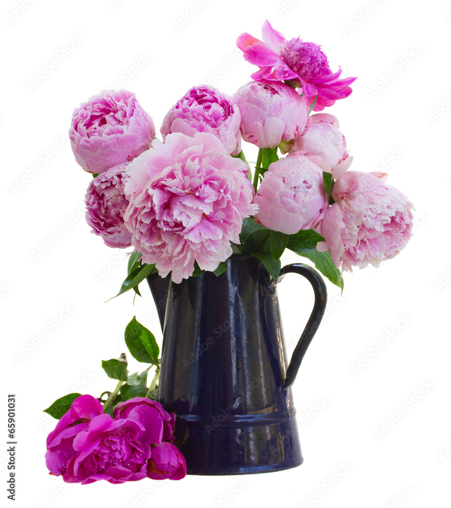 Obraz premium bouquet of pink peonies in blue pot
