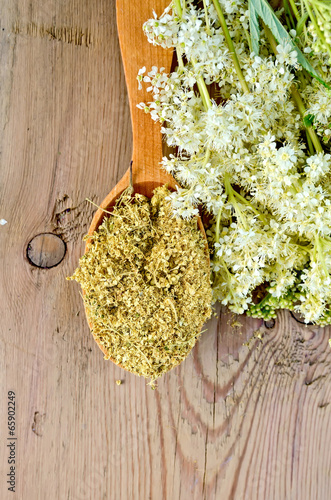 Herbal tea from meadowsweet in wooden spoon photo