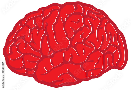 Red Brain Anger