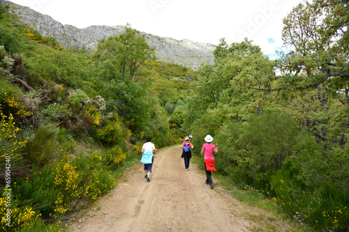 grupo de mujeres caminando por un camino en el monte