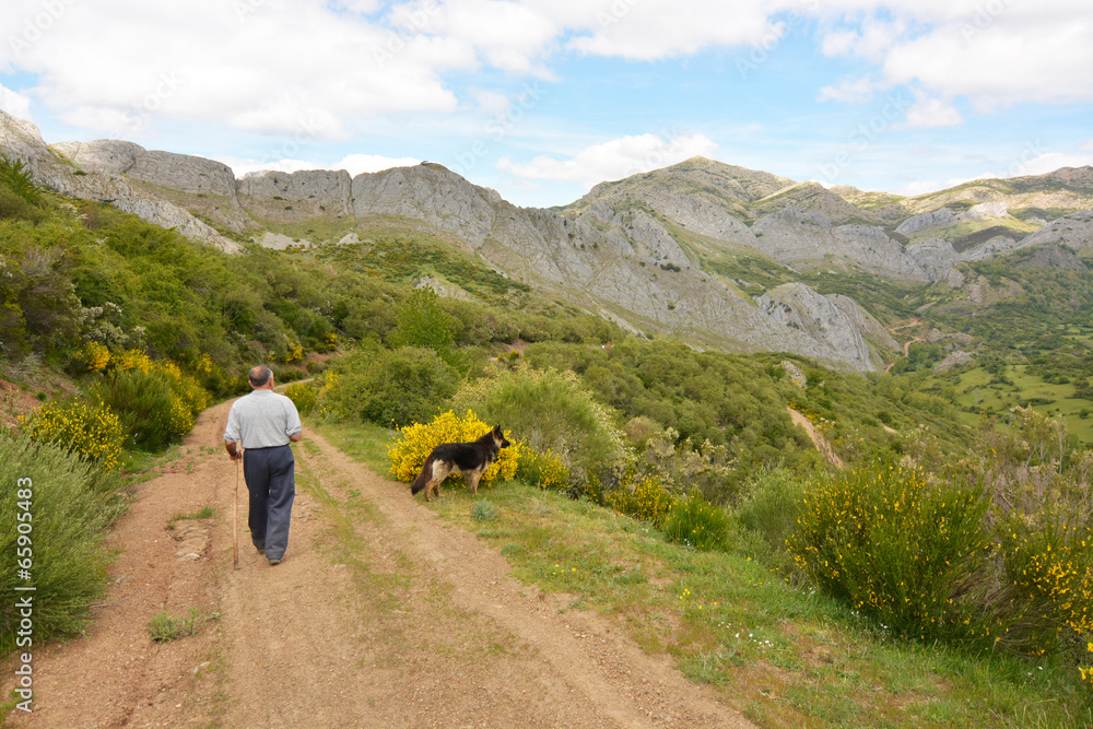 hombre y perro caminando por un camino de montaña