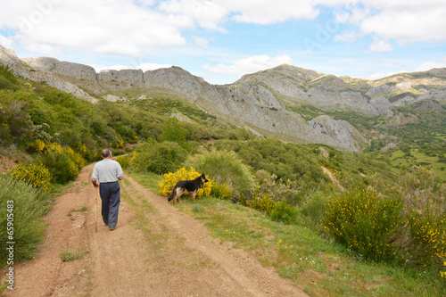 hombre y perro caminando por un camino de montaña © uzkiland