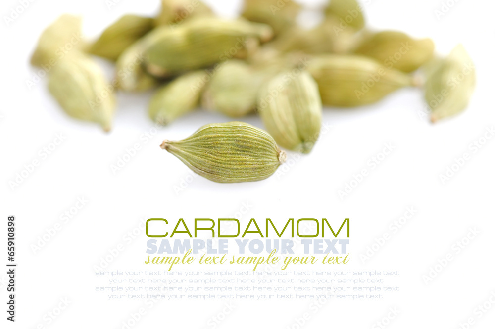 Cardamom on white background with space for text