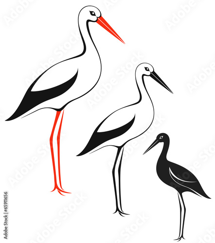 Stork
