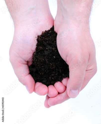 Soil in hand