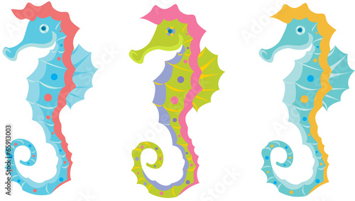 Seahorse bright colors