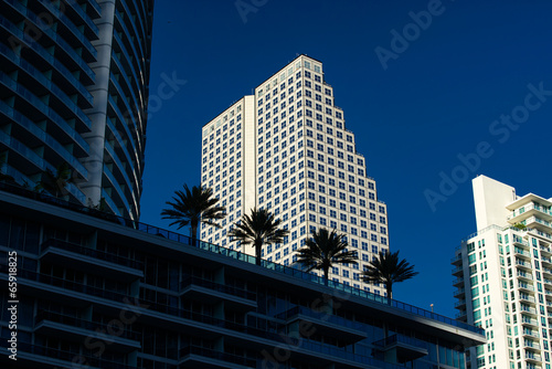 Miami Architecture with palm trees